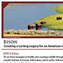 Bison Statement Page